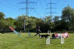 IMG_2234-Copy