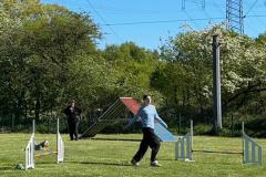 IMG_2243-Copy