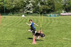 IMG_2292-Copy