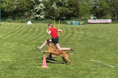 IMG_2297-Copy