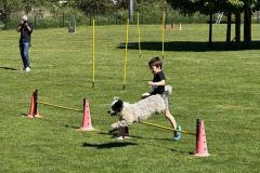 IMG_2317-Copy
