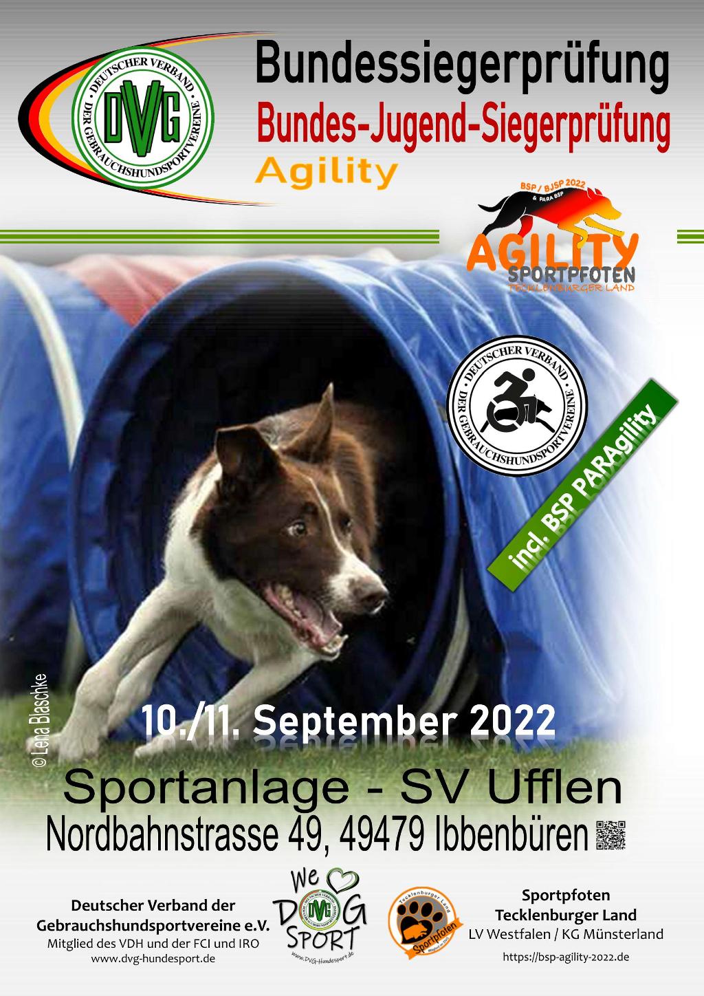 DVG Bundessiegerprüfung Agility 2022 @ Sportanlage SV Ufflen